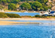 Η φωτογραφία της ημέρας:Βουρβουρού: ομορφιά που ζητά σεβασμό