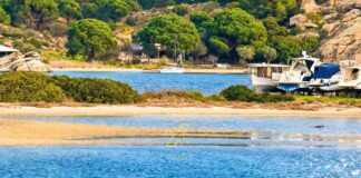 Η φωτογραφία της ημέρας:Βουρβουρού: ομορφιά που ζητά σεβασμό