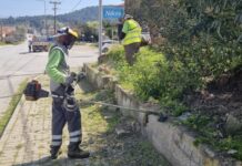 Καθημερινές παρεμβάσεις καθαριότητας και πρασίνου στον Δήμο Κασσάνδρας