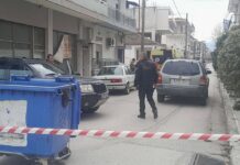 Καρδίτσα: «Σαν εκδρομή» η δολοφονία. Σοκάρουν οι αποκαλύψεις για τους δύο νεαρούς