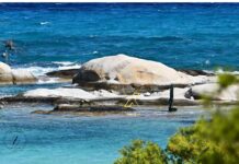 Καλημέρα Χαλκιδική:Είναι εκεί… και σε περιμένει