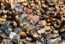 Δείτε τι εμφανίστηκε ξαφνικά στην παραλία του Στρατωνίου Χαλκιδικής ΒΙΝΤΕΟ