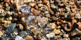 Δείτε τι εμφανίστηκε ξαφνικά στην παραλία του Στρατωνίου Χαλκιδικής ΒΙΝΤΕΟ