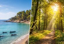 Σιωπηλή εξαφάνιση στη Χαλκιδική: Τα ζώα που χάνονται ενώ κανείς δεν κοιτάζει