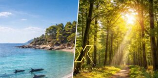 Σιωπηλή εξαφάνιση στη Χαλκιδική: Τα ζώα που χάνονται ενώ κανείς δεν κοιτάζει